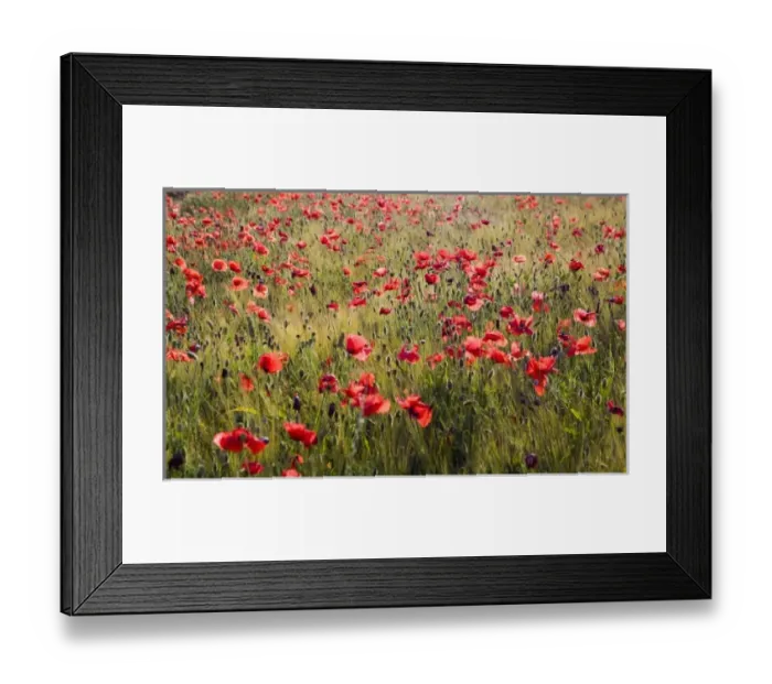 Framed Print : Europe, Italy