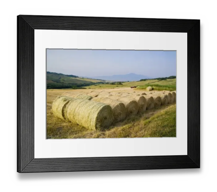 Framed Print : Europe, Italy