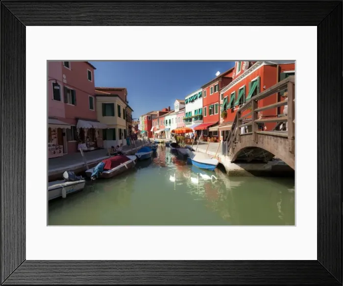 Framed Print : Swans in canal, Burano Island, Lagoon Tour near Venice, Italy, Europe Framed Print : Swans in canal, Burano Island, Lagoon Tour near Venice, Italy, Europe