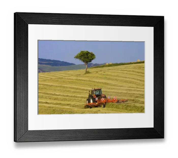 Framed Print : Europe, Italy