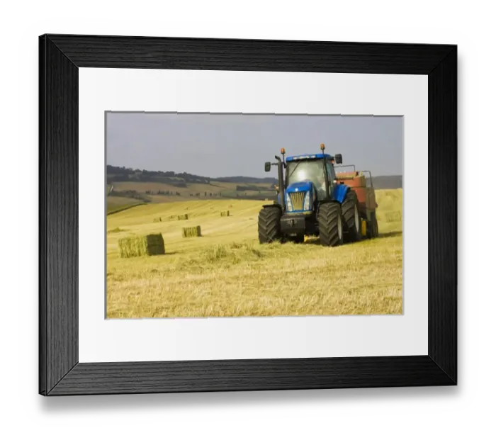 Framed Print : Europe, Italy