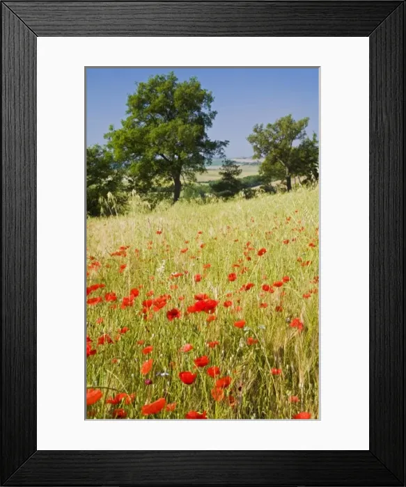 Framed Print : Europe, Italy Framed Print : Europe, Italy