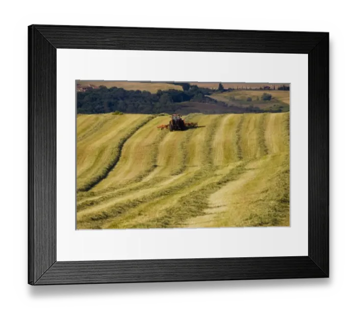 Framed Print : Europe, Italy Framed Print : Europe, Italy