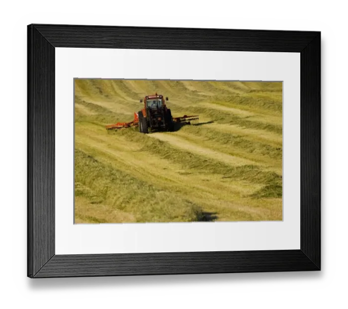 Framed Print : Europe, Italy