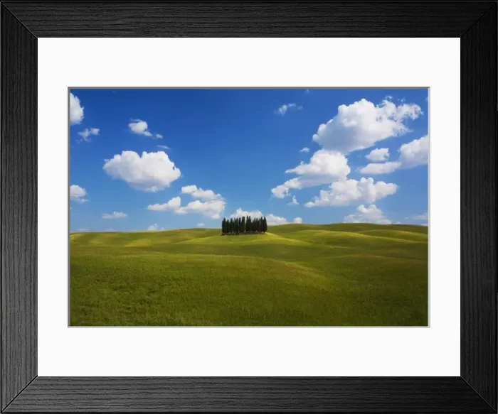 Framed Print : Italy, Tuscany, Cypress Trees on the hillside Framed Print : Italy, Tuscany, Cypress Trees on the hillside