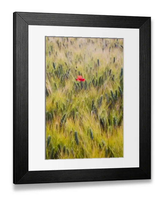 Framed Print : Europe, Italy