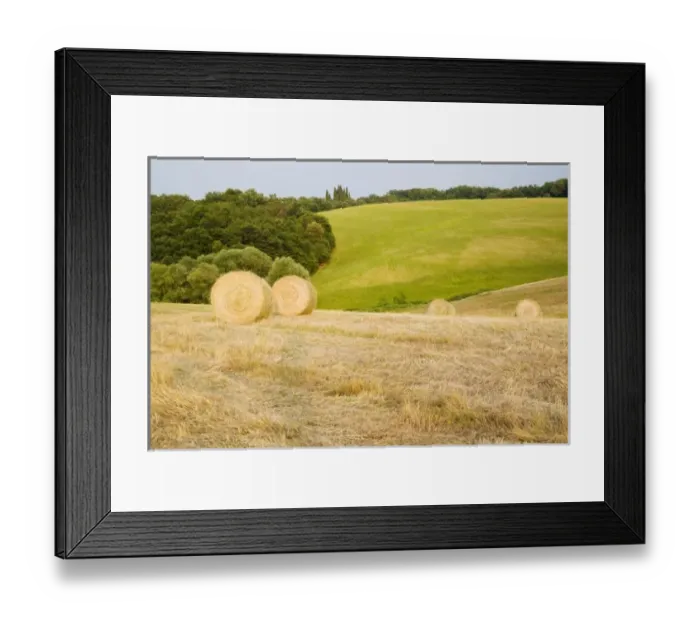 Framed Print : Hay Roles on The Tuscan Hillside Framed Print : Hay Roles on The Tuscan Hillside