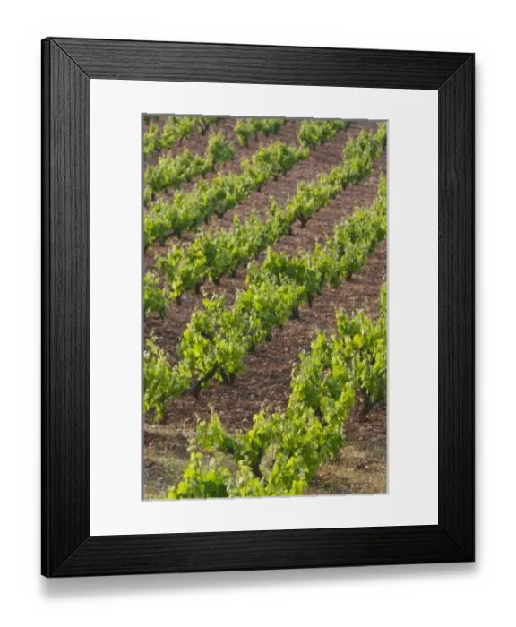 Framed Print : Europe, Greece