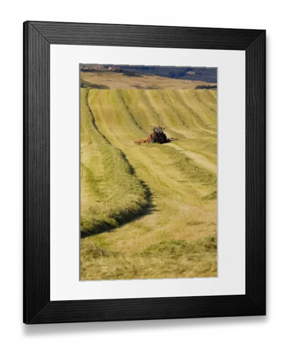 Framed Print : Europe, Italy Framed Print : Europe, Italy