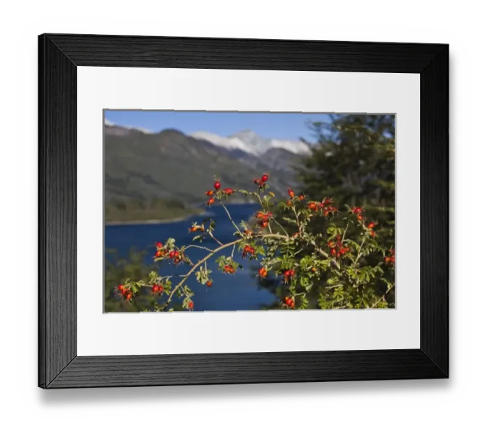 Framed Print : South America, Argentina Framed Print : South America, Argentina