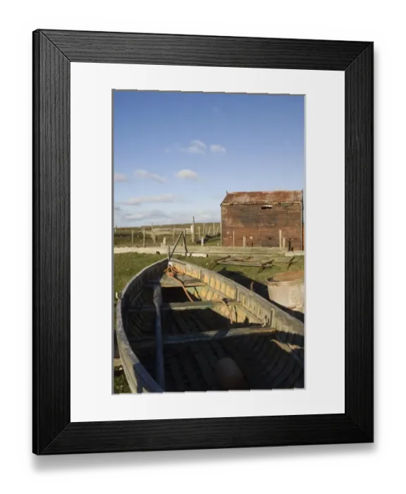 Framed Print : South America, Falkland Islands Framed Print : South America, Falkland Islands