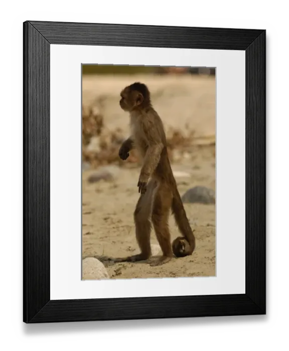 Framed Print : Central America, Ecuador