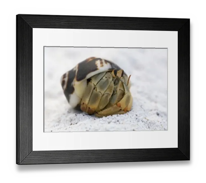 Framed Print : Central America, Ecuador
