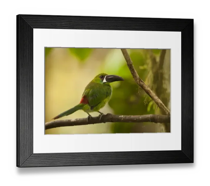 Framed Print : Central America, Ecuador Framed Print : Central America, Ecuador