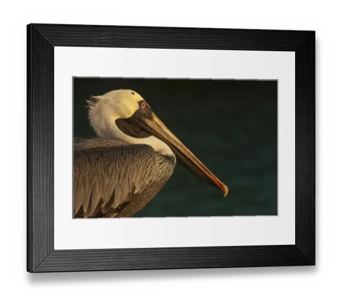Framed Print : Central America, Ecuador Framed Print : Central America, Ecuador