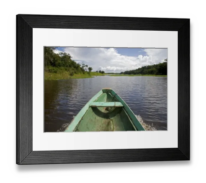 Framed Print : The bow of a dugout canoe on the Arasa River in the Amazon jungle near Manaus, Brazil Framed Print : The bow of a dugout canoe on the Arasa River in the Amazon jungle near Manaus, Brazil