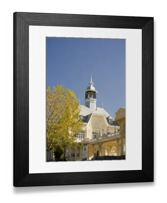 Framed Print : Tigre Delta and River Cruise, 50 minutes north of Buenos Aires, Argentina
