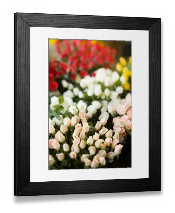 Framed Print : Weekly Friday fruit & vegetable market, Southern Zone of Rio De Janeiro, Praca General Osorio Framed Print : Weekly Friday fruit & vegetable market, Southern Zone of Rio De Janeiro, Praca General Osorio
