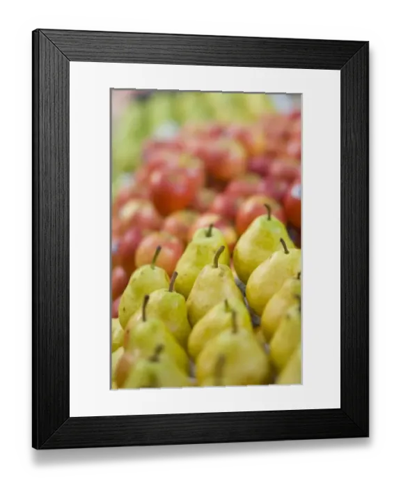 Framed Print : South America, Brazil Framed Print : South America, Brazil