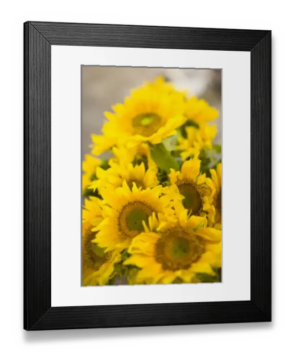 Framed Print : Weekly Friday fruit & vegetable market, Southern Zone of Rio De Janeiro, Praca General Framed Print : Weekly Friday fruit & vegetable market, Southern Zone of Rio De Janeiro, Praca General