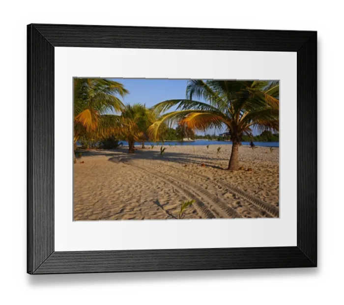 Framed Print : Tracks along the beach on Placenia in Belize Framed Print : Tracks along the beach on Placenia in Belize