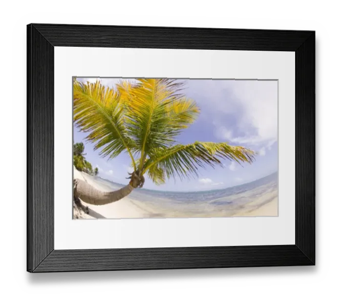 Framed Print : Central America, Belize