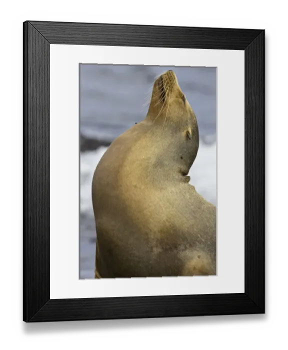 Framed Print : Central America, Ecuador Framed Print : Central America, Ecuador
