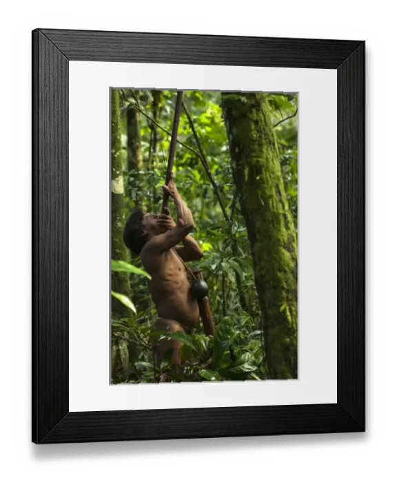 Framed Print : Central America, Ecuador Framed Print : Central America, Ecuador
