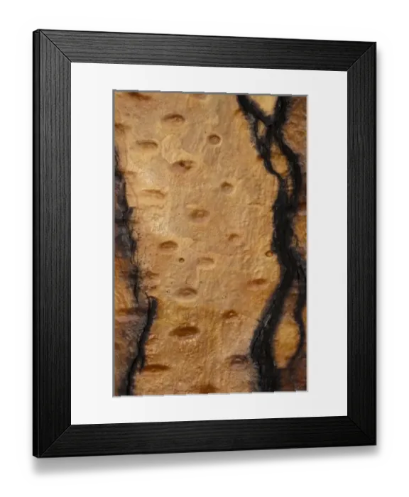 Framed Print : Central America, Ecuador Framed Print : Central America, Ecuador