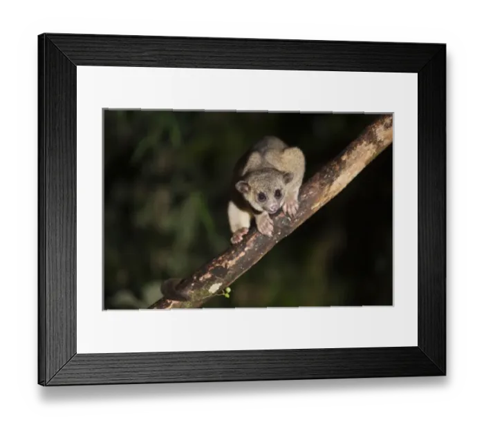 Framed Print : Central America, Ecuador