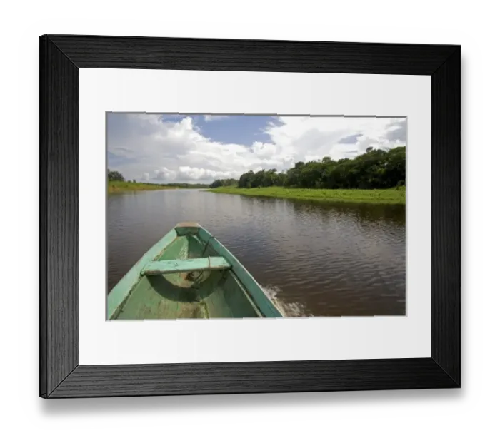 Framed Print : The bow of a dugout canoe on the Arasa River in the Amazon jungle near Manaus, Brazil Framed Print : The bow of a dugout canoe on the Arasa River in the Amazon jungle near Manaus, Brazil