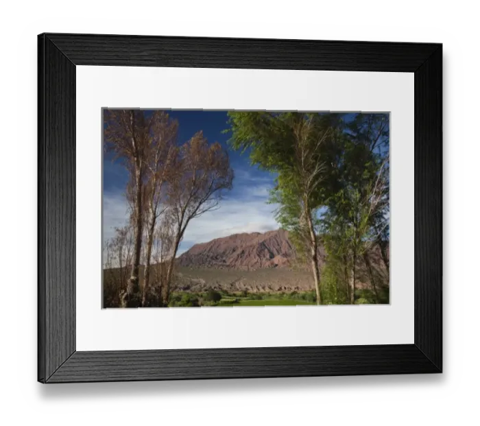 Framed Print : Argentina, Salta Province. Landscape by Rt. 40
