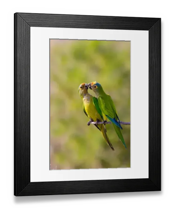 Framed Print : South America, Brazil Framed Print : South America, Brazil