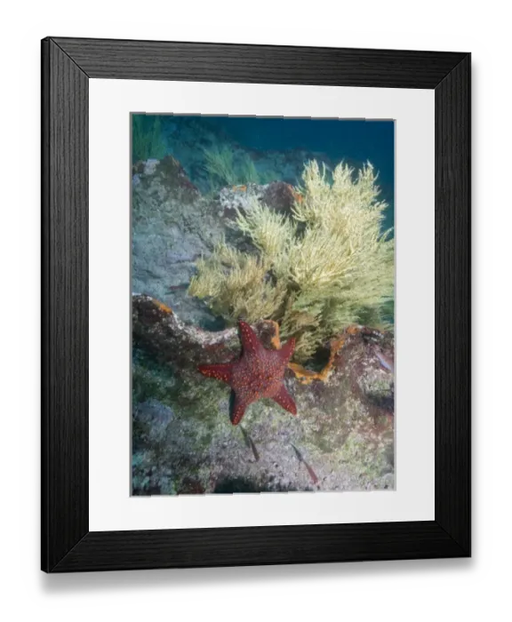 Framed Print : Central America, Ecuador Framed Print : Central America, Ecuador
