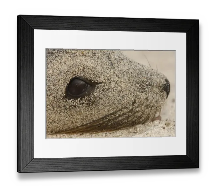 Framed Print : Central America, Ecuador Framed Print : Central America, Ecuador