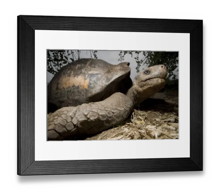 Framed Print : Central America, Ecuador Framed Print : Central America, Ecuador