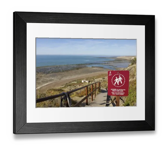 Framed Print : Chubut Province, Argentina. Peninsula Valdes, Unesco World Heritage Site. Punta Delgada