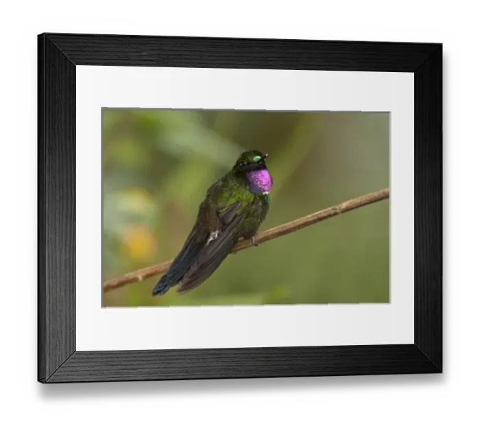Framed Print : Central America, Ecuador Framed Print : Central America, Ecuador