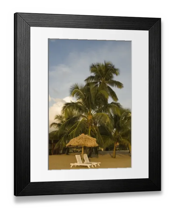 Framed Print : Thatched palapas, palm trees and lounge chairs on beach, Jaguar Reef Lodge, Hopkins