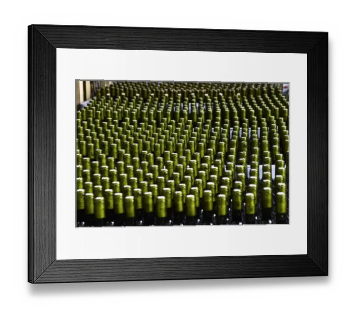 Framed Print : South America, Argentina