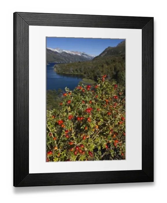 Framed Print : South America, Argentina Framed Print : South America, Argentina