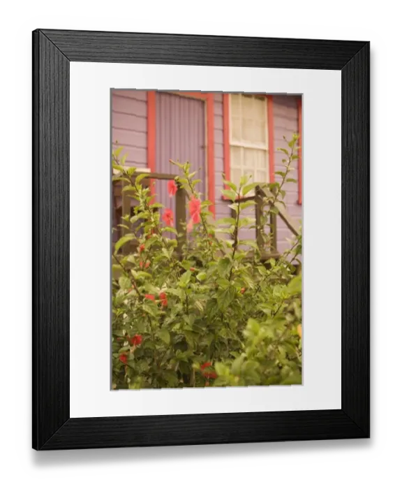 Framed Print : Central America, Belize Framed Print : Central America, Belize