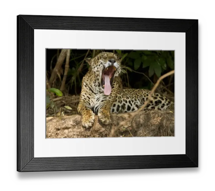 Framed Print : South America, Brazil Framed Print : South America, Brazil