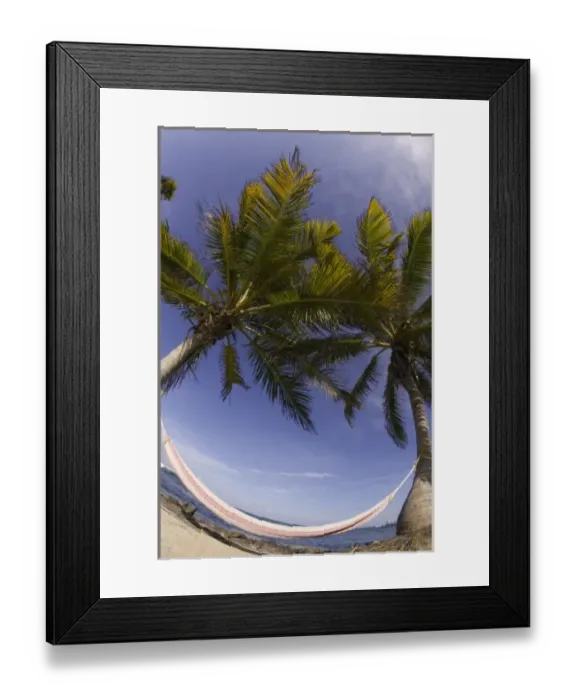 Framed Print : Fisheye lens view of hammock, Turneffe Caye, Belize Framed Print : Fisheye lens view of hammock, Turneffe Caye, Belize