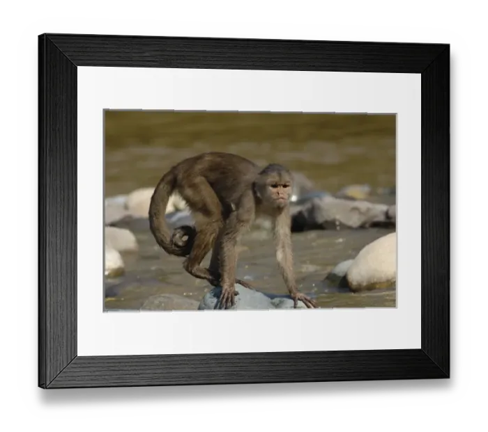 Framed Print : Central America, Ecuador Framed Print : Central America, Ecuador