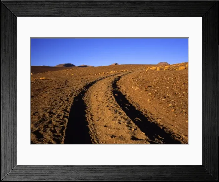 Framed Print : Bolivia, Uyuni, Tire tracks lead off into the desert on the Southwest Circuit Tour Framed Print : Bolivia, Uyuni, Tire tracks lead off into the desert on the Southwest Circuit Tour