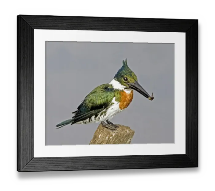 Framed Print : South America, Brazil Framed Print : South America, Brazil