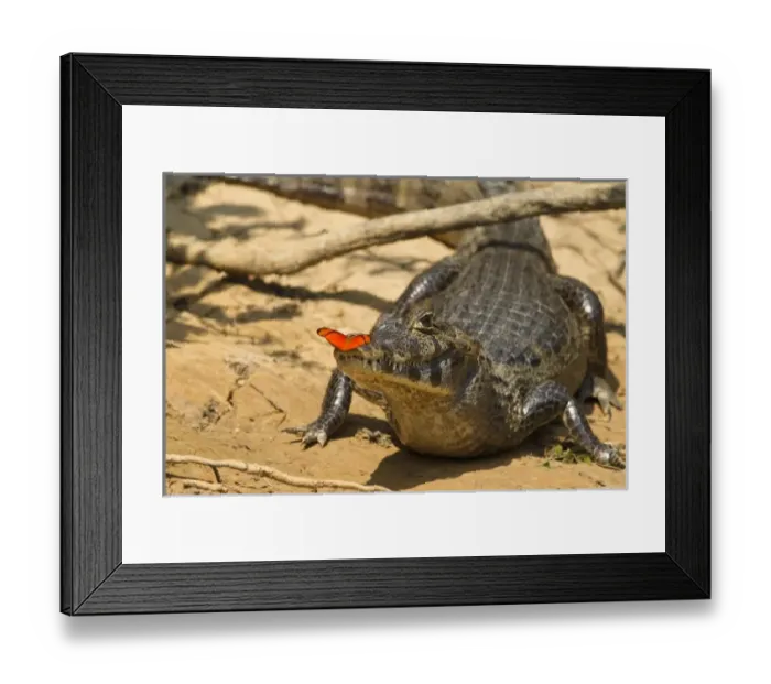 Framed Print : South America, Brazil Framed Print : South America, Brazil
