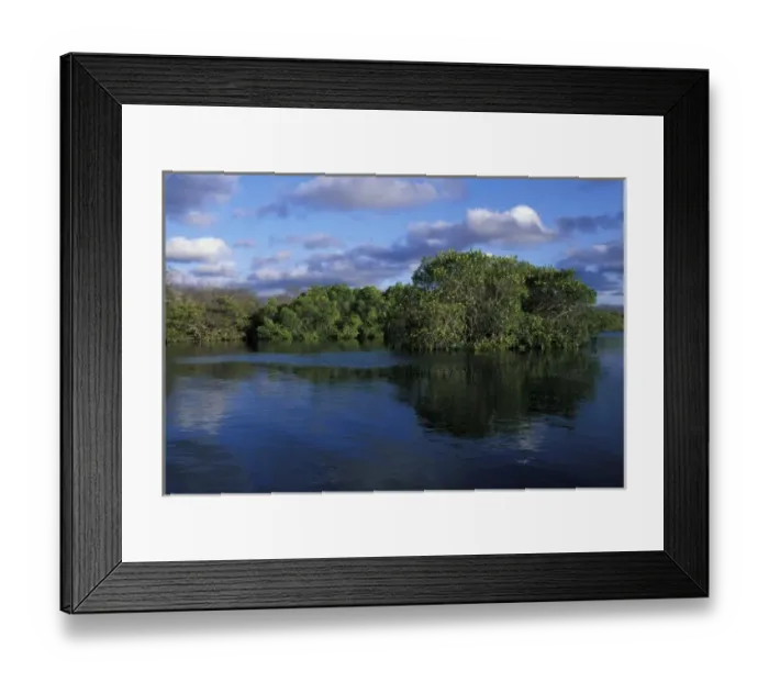 Framed Print : Ecuador, Galapagos Islands, Setting sun lights mangroves along Elizabeth Bay on Isabela