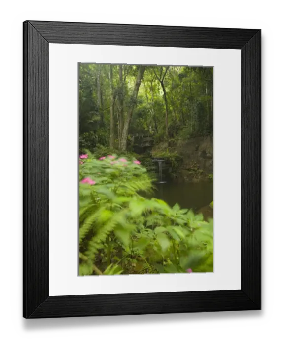Framed Print : South America, Brazil Framed Print : South America, Brazil